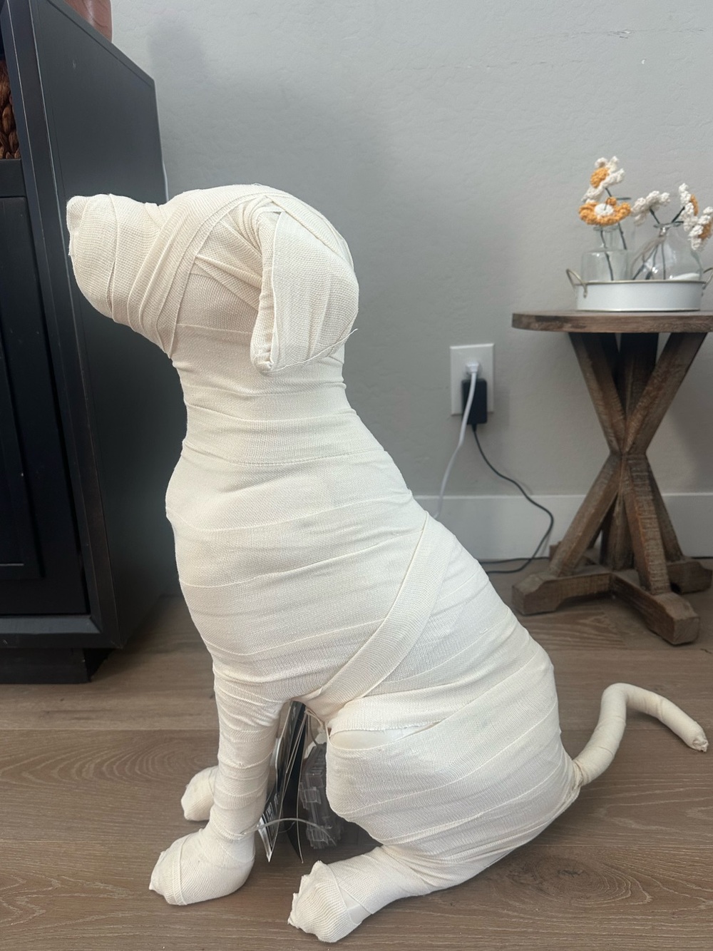 Viral HTF Martha Stewart XL LED Mummy Cat & Halloween Dog Set - Picture 9 of 13